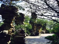 -南山植物园