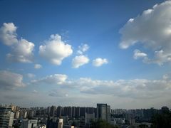 -赭山公园