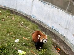 -无锡动物园·太湖欢乐园