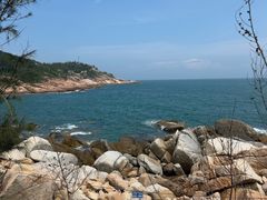 -广东惠东海龟国家级自然保护区