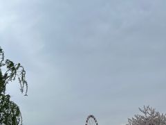 -自然谷恐龙园