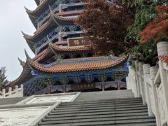 -铁山坪森林公园