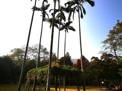 -广州市白云山风景名胜区