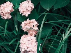 -上海浦江郊野公园-3号停车场