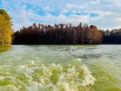 -上海海湾国家森林公园