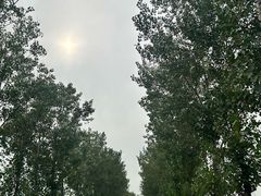 -0317火锅鸡·清真(正达店)