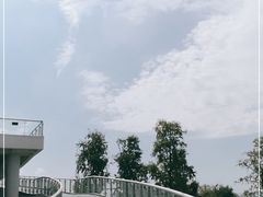 -漩门湾国家湿地公园