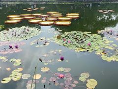 -国家植物园南园