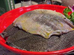 -二荆条·蜀鲜汇城市森林火锅