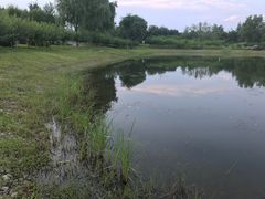 -永定河休闲森林公园