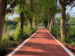 -帐篷客·溪龙茶谷度假酒店