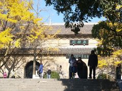 -灵谷景区