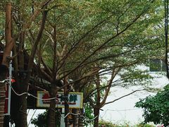 -三亚火车头万人海鲜广场