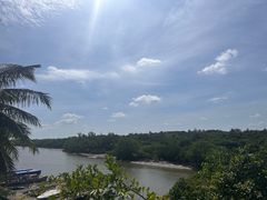 -东寨港红树林旅游区