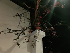 -春天来了(印象新天地店)