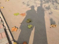 -石家庄极地海洋世界