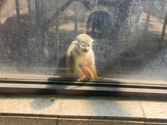 -昆明动物园
