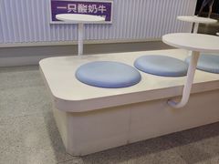-一只酸奶牛(兰州中心店)