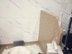 -伟伟宠物医院·CT影像中心·瑞派犬猫综合性门诊(汉口总院)