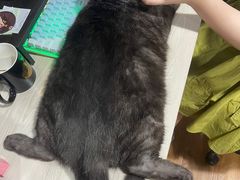 -佳雯宠物医院(四明中路分院)