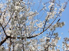 -三峡国际房车露营地(G348店)