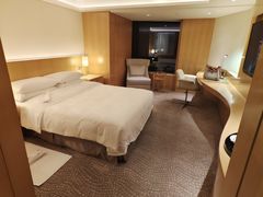 -广州白天鹅宾馆