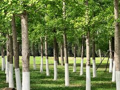 -汉长安城未央宫国家考古遗址公园