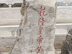 -桃花堤公园