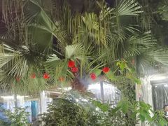 -醉月城西昌火盆烧烤(天府店)