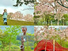 -白石龙音乐公园