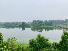 -东郊湿地公园