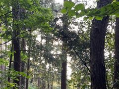 -窦圌山风景区