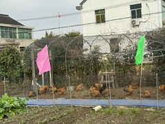 -小鱼草莓采摘园农家乐·小鱼餐厅