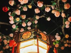 -韵秋荷(宝山龙湖天街店)