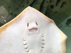 -珠海长隆海洋王国