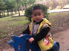 -宿豫区运河湾森林动物园