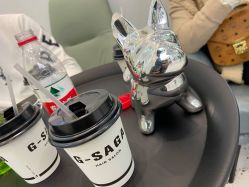 -G-SAGA形象设计