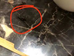 -川金楼烧鸡公(瑞兴路店)