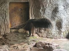 -深圳野生动物园