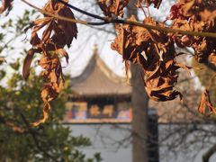-西安碑林博物馆