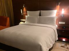 -广州白云机场雅高铂尔曼大酒店