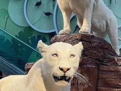 -陕西自然博物馆