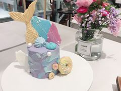 美人鱼重生-随心小姐