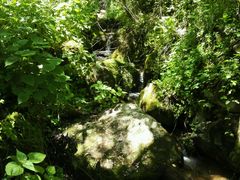 -太平万花山景区