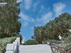 -青礁慈济宫