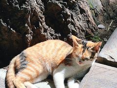 -终南山南五台景区