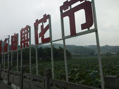 -红山村