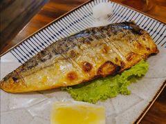 鲐鲅鱼-百步拉面