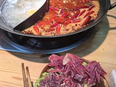 -阳阳老火锅(小南门店)