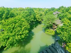 -西溪国家湿地公园